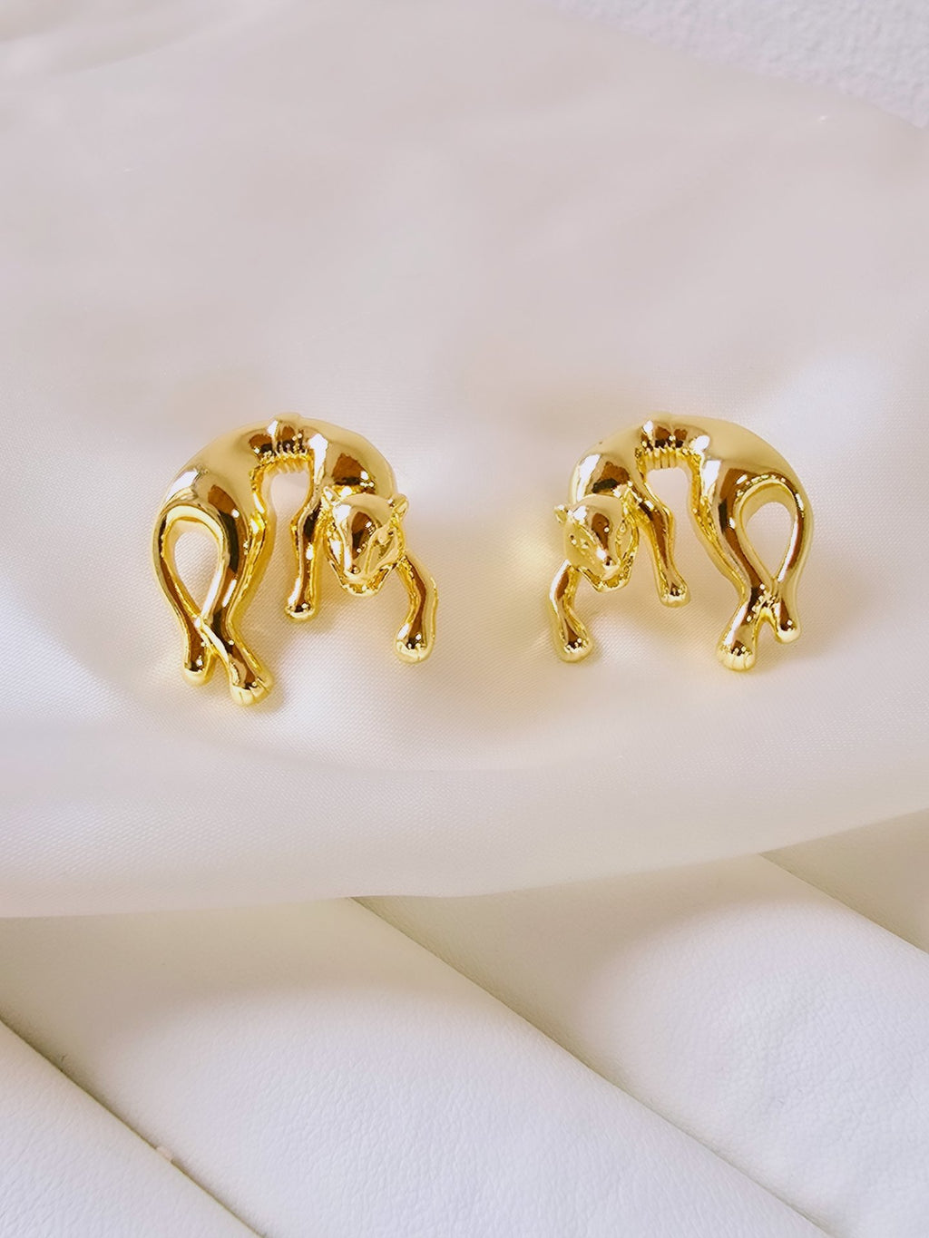 Aretes felino
