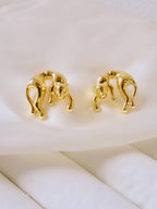 Aretes felino